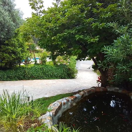 Villa Max Lloret de Mar Extérieur photo
