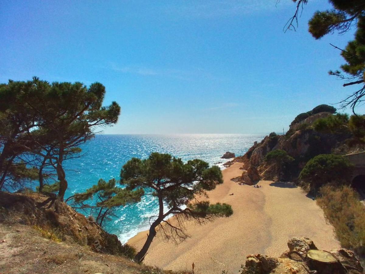 Villa Max Lloret de Mar Extérieur photo